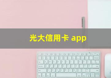 光大信用卡 app